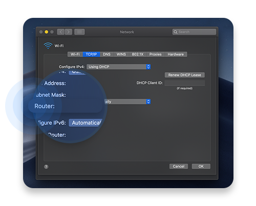 Select the TCP/IP tab and check the Router field